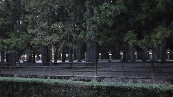 a line of lit stone lanterns on a path in the distance, partially hidden by large trees